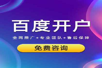 网络推广竞价实战：某电商平台的成功案例